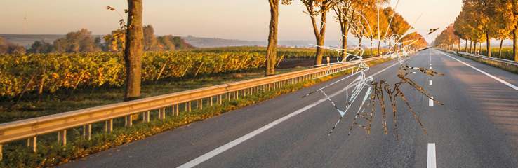 vi byter din vindruta eller lagar ditt stenskott