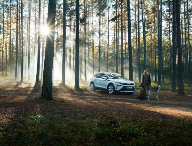 Tillbehör Skoda